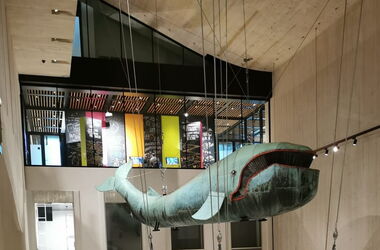 Das Maskottchen des Wienmusuem: der blaue Wal